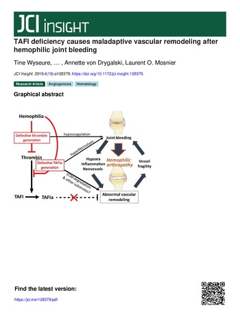 Publication TAFI Wyseure et al 2019